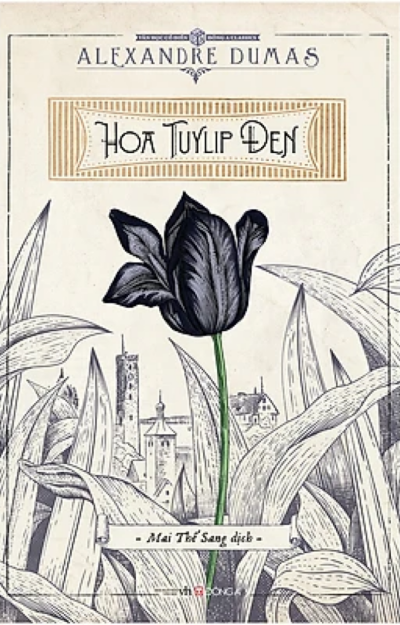 Hoa Tulip Đen