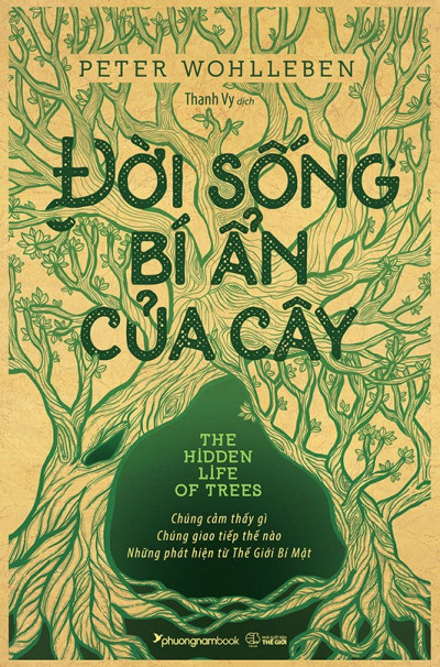 Đời Sống Bí Ẩn Của Cây