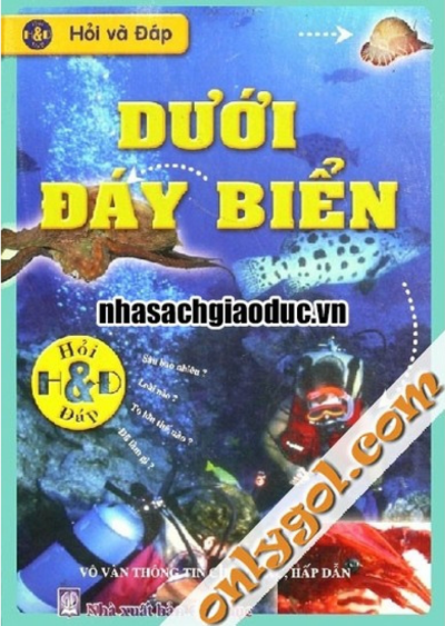 Hỏi và Đáp: Dưới Đáy Biển