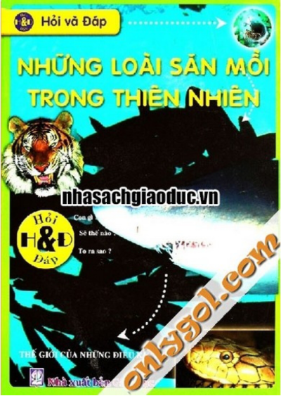 Hỏi và Đáp: Những Loài Săn Mồi Trong Thiên Nhiên