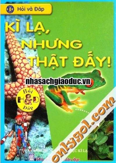Hỏi và Đáp: Kì lạ, Nhưng Thật Đấy!