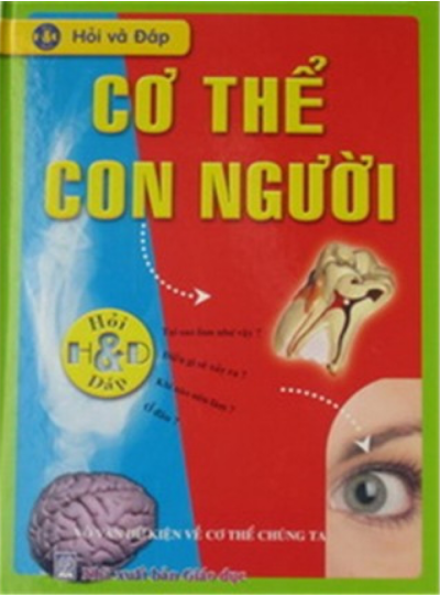 Hỏi và Đáp:  Cơ Thể Con Người