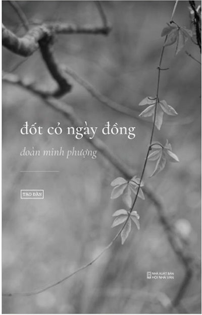 Đốt cỏ ngày đồng